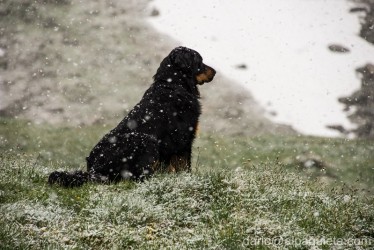 Noach delle Montagne!