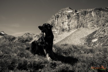 Noach e la Granta Parei