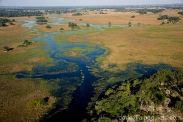 Il Delta dell'Okavango
