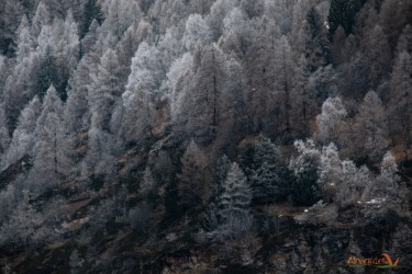 Imprevedibilità di primavera