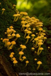 Germania, bordo strada