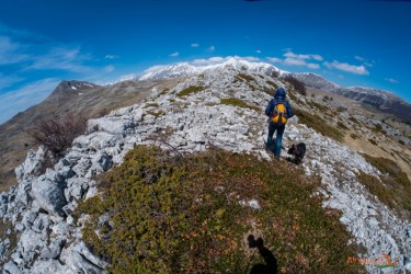Da qualche parte...su altopiani abruzzesi
