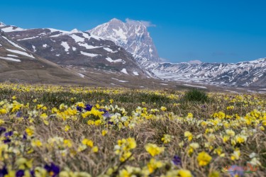 Gran Sasso - Campo Imperatore
