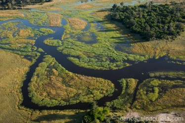 Okavango-Delta