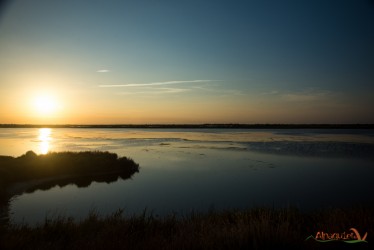 Alba in Camargue