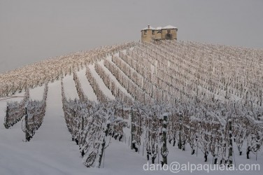 Poggio delle vigne di Aymavilles