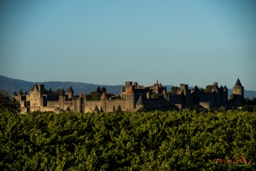 Carcassonne