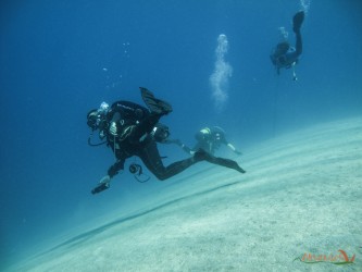 Compagni d'avventure