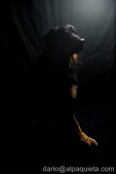 Black in Black!