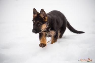 Blu!