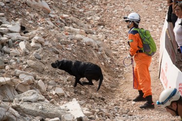 Ricerca su macerie