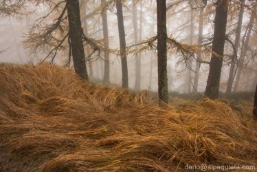 Autunno