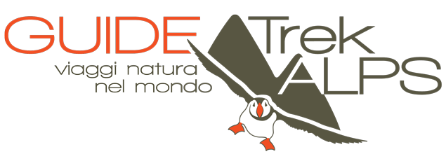 Guide Trek Alps