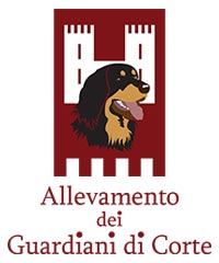 Hovawart dei Guardiani di Corte